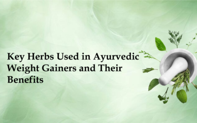 Key Herbs Used in Ayurvedic Weight Gainers and Their Benefits